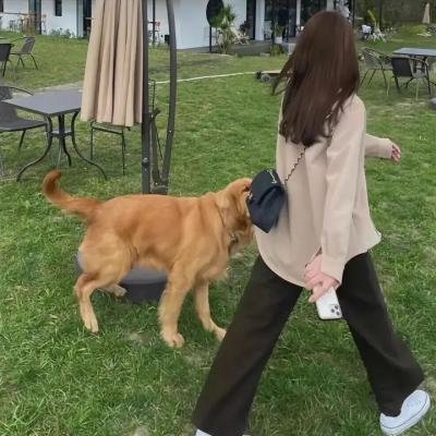 舞动的心